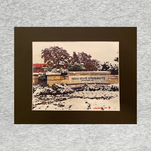 Texas State Campus in the Snow by gjspring